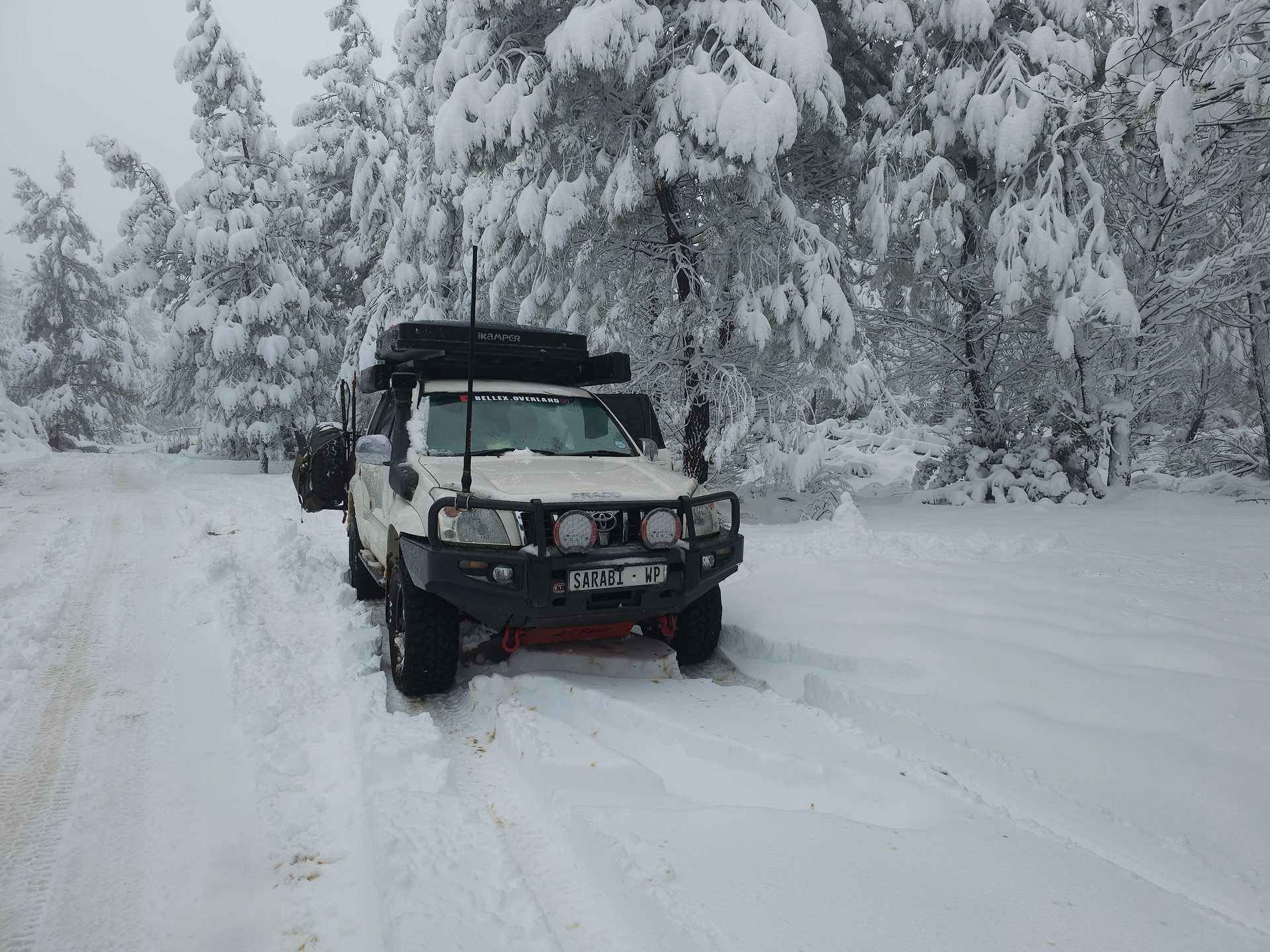 Prado 120