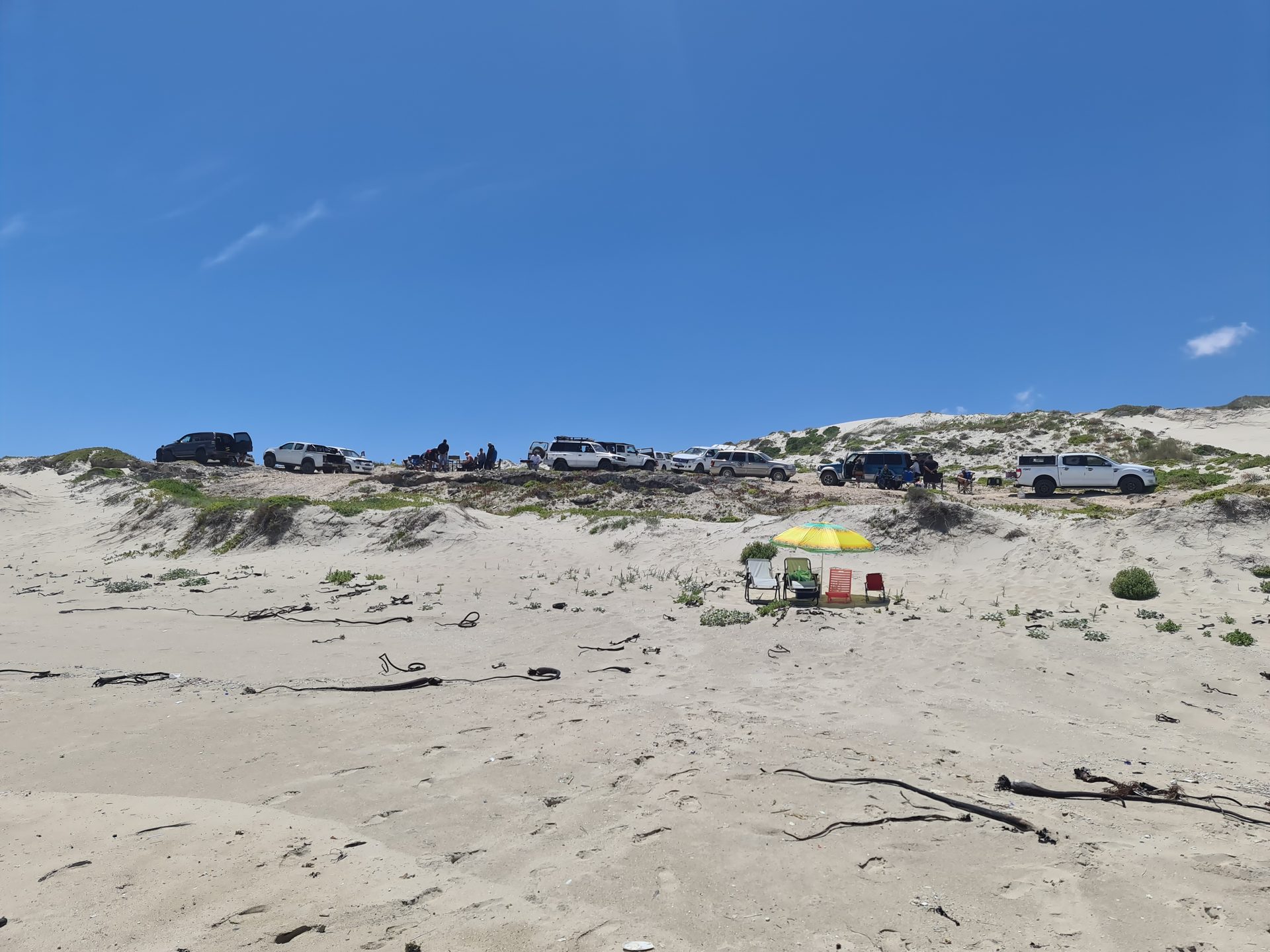 Beach Day — Trekoskraal, November 2021 — photo 5