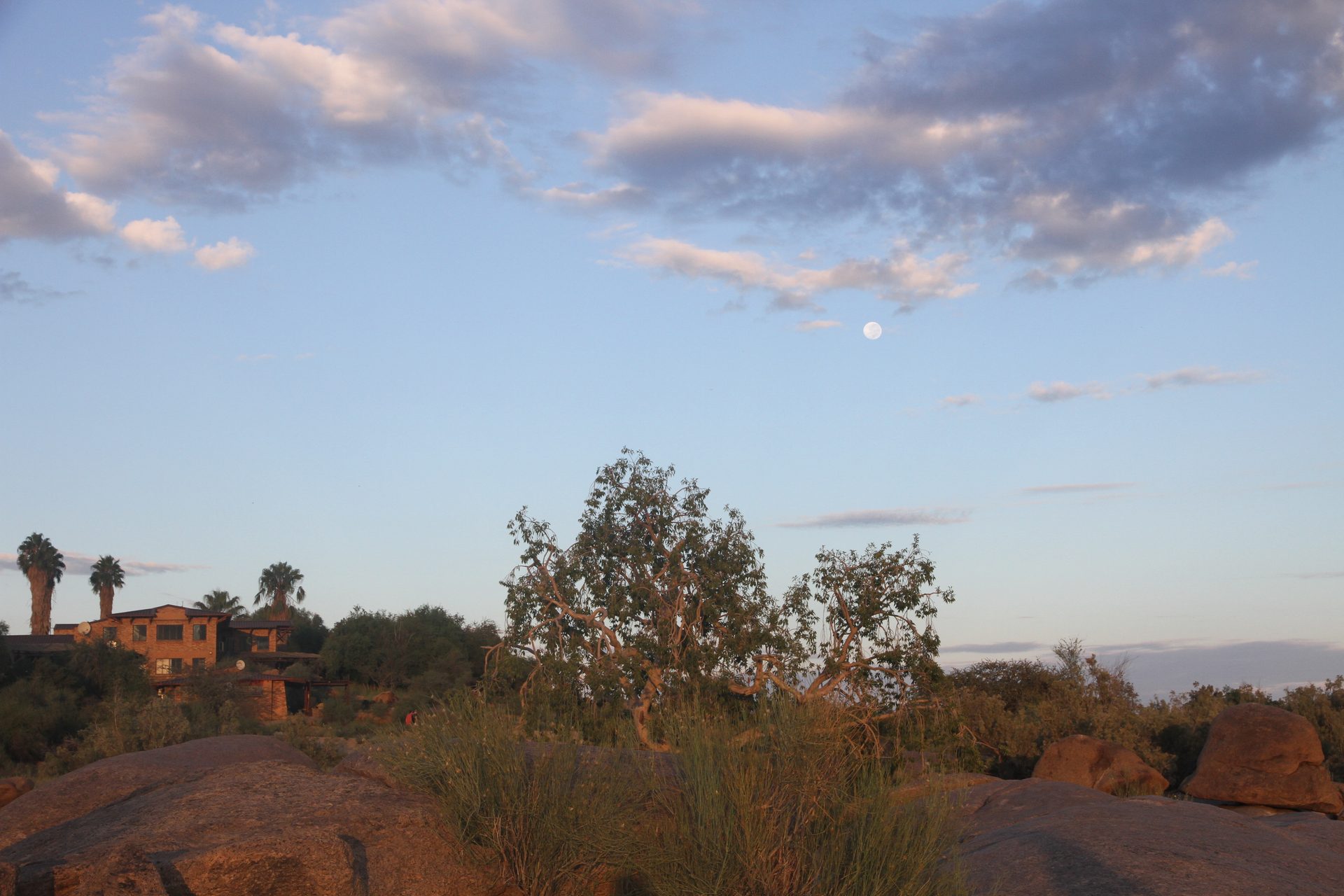 Sunrise over the falls — the Orange River in flow, the gorge lit gold below