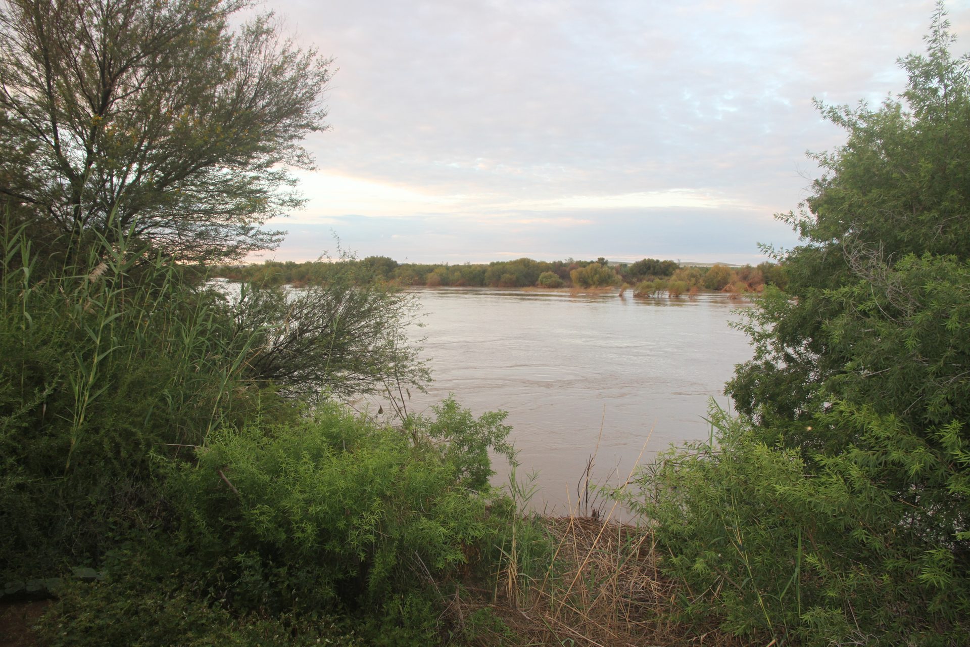 Khamkirri in the morning — flat horizon, dry vegetation, sky going as far as you want to look