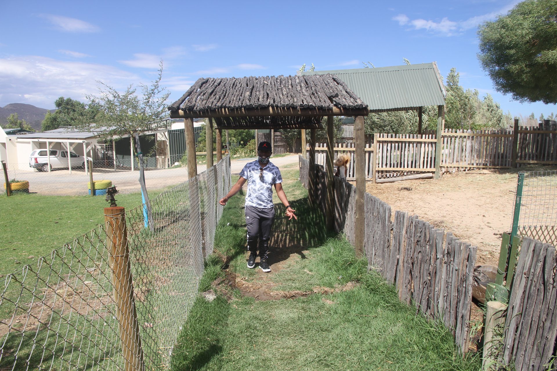 The animal enclosure — the ostriches are opinionated