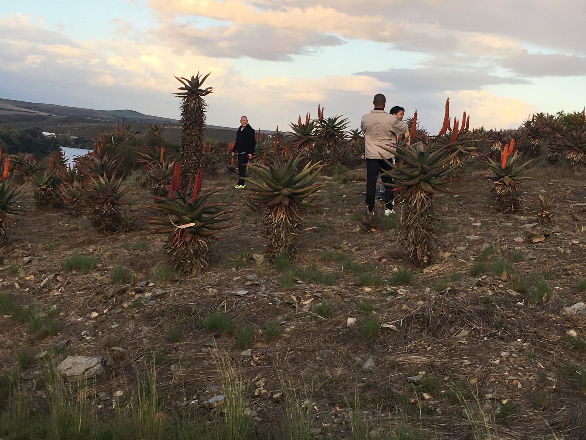 A Cold Winter Break in Witsand, Malgas & De Hoop — photo 19