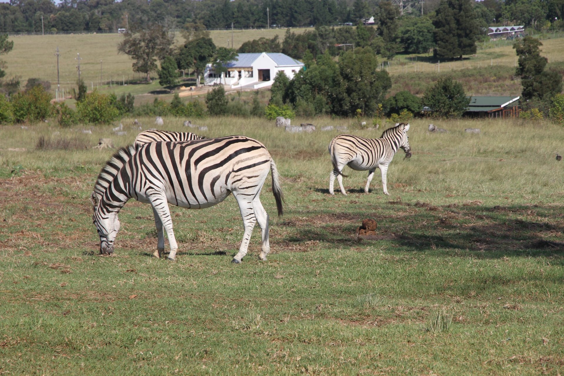 The kind of Garden Route stop worth making time for