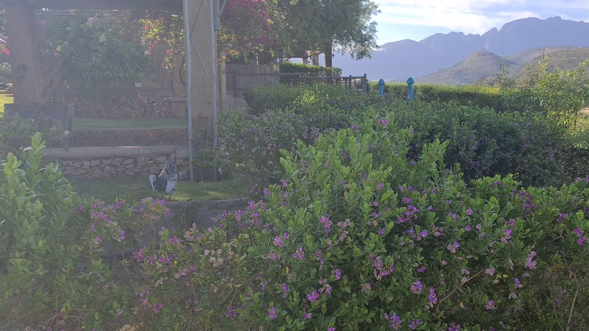 Franschhoek Camping - October 2022 — photo 7