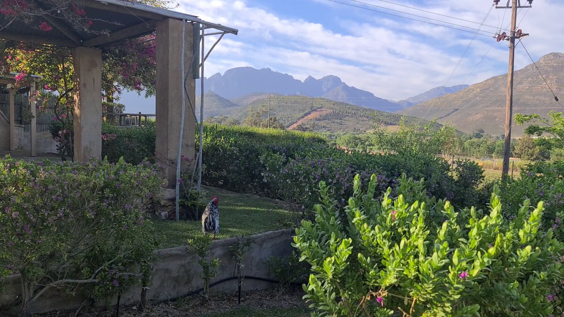 Franschhoek Camping - October 2022 — photo 8