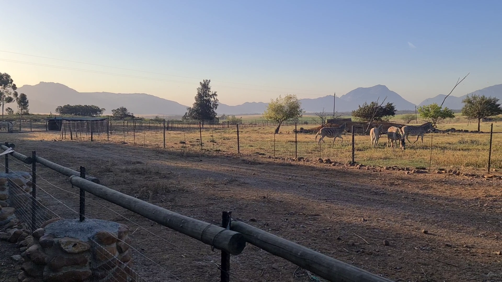 Fynbos Guest Farm - October 2022 — photo 6