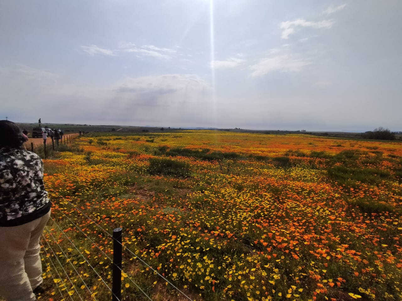 Flower Trip 2022 — Biedouw Valley, Wupperthal & Nieuwoudtville — photo 22