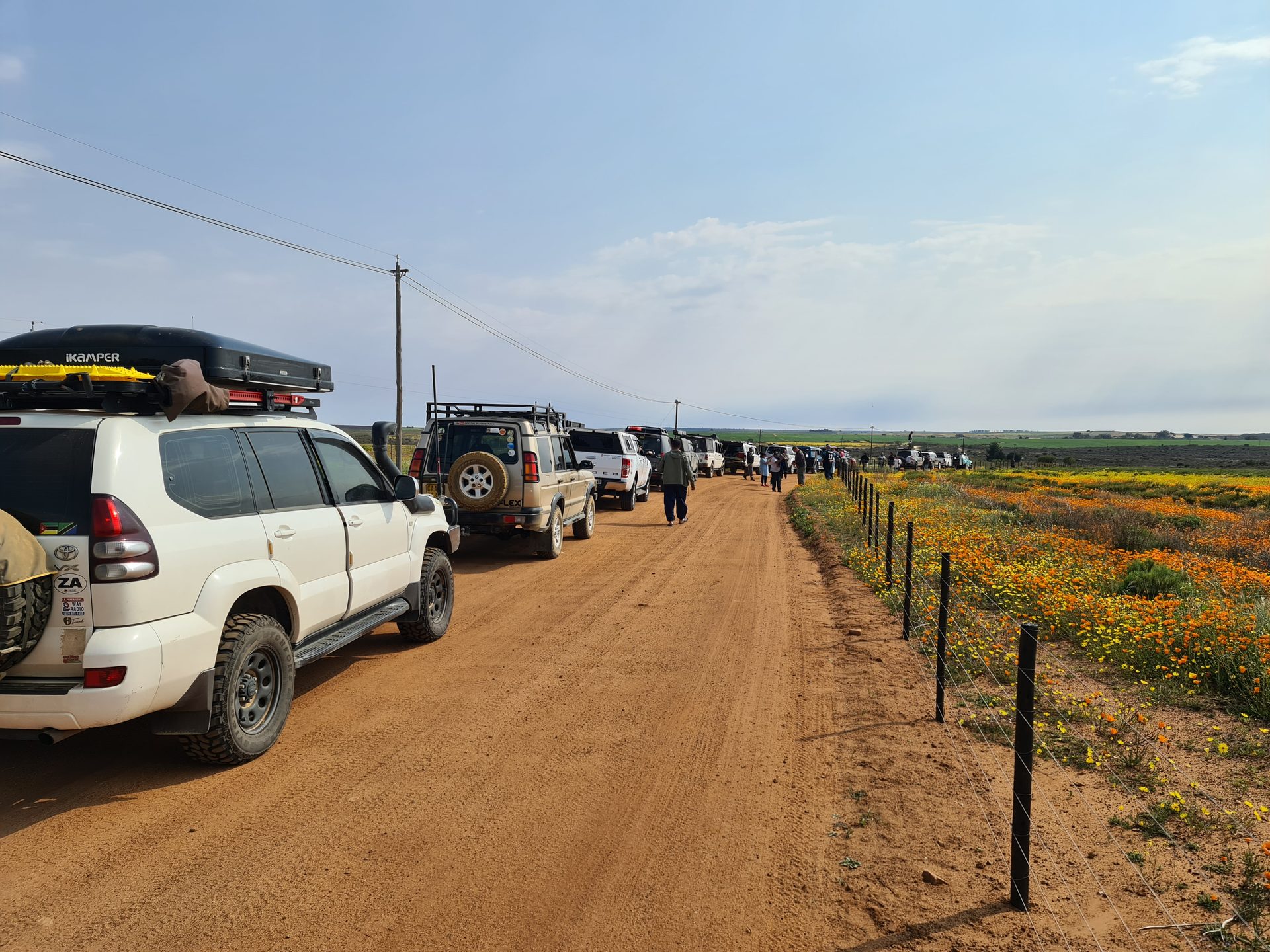 Flower Trip 2022 — Biedouw Valley, Wupperthal & Nieuwoudtville