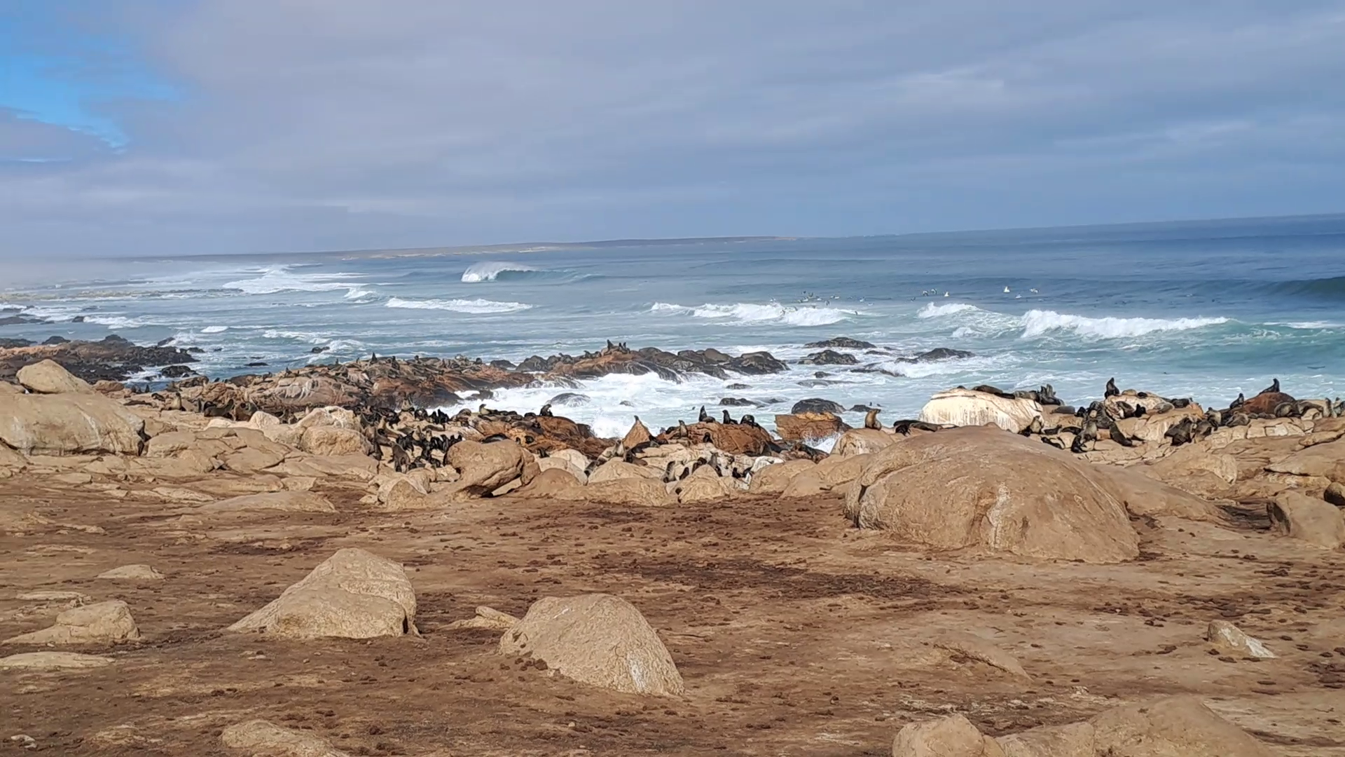 West Coast Wild Camping - Namaqua and Waterval — photo 4