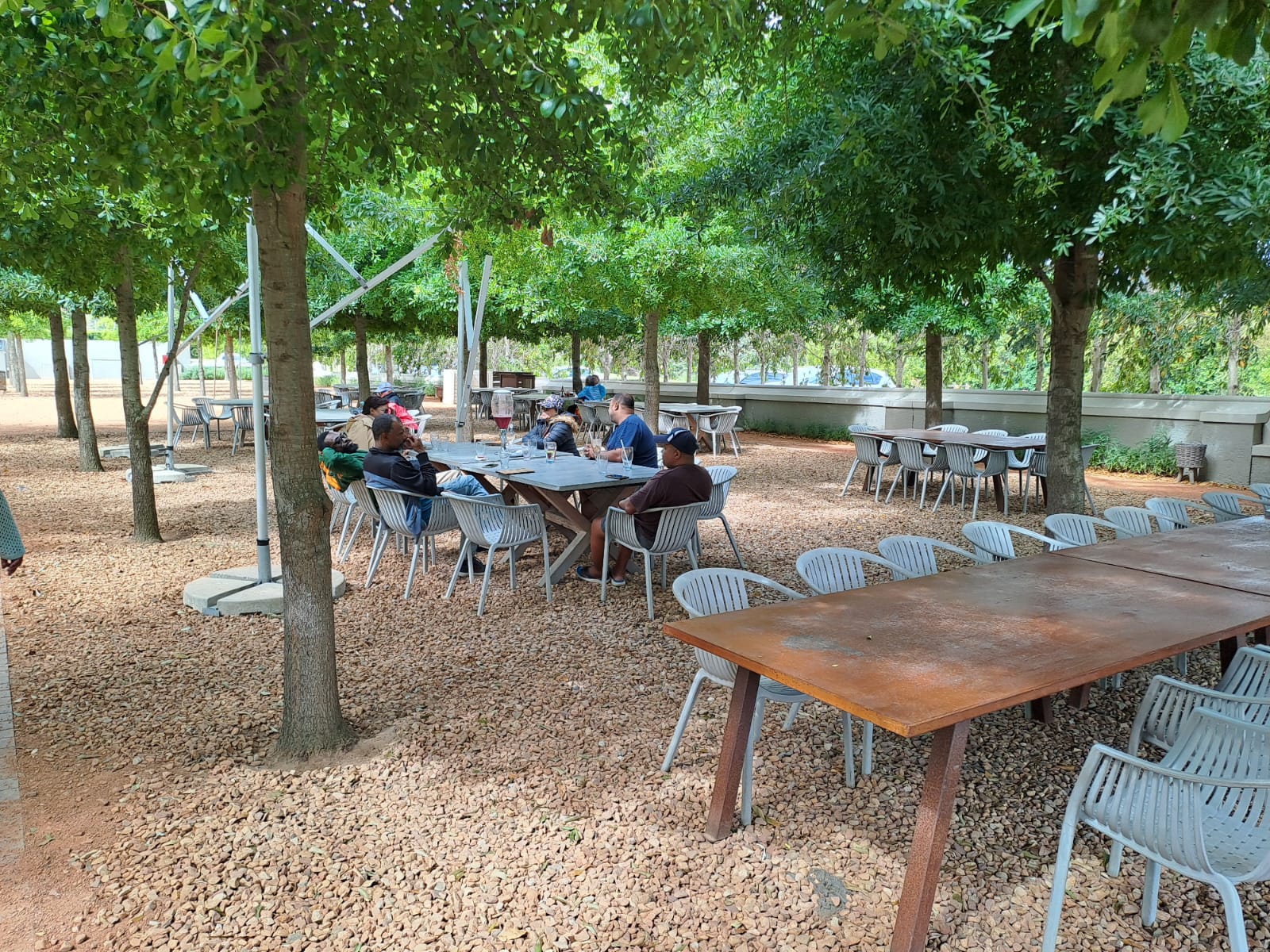 Lunch under the trees — the right way to end a day in the field