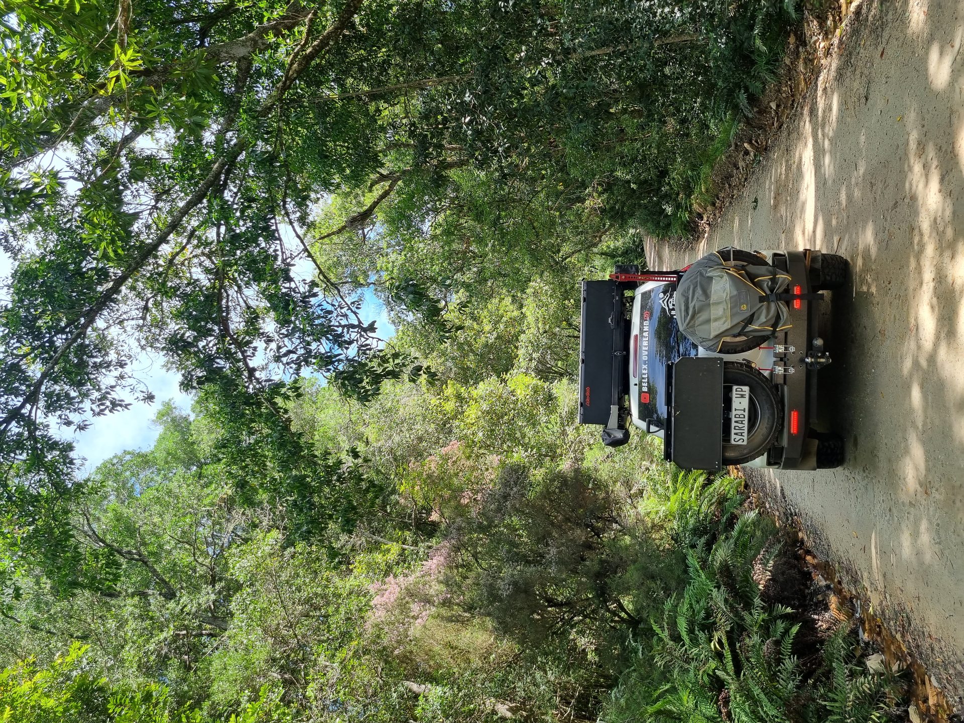 Sarabi driving the shaded forest road towards Spitzkop