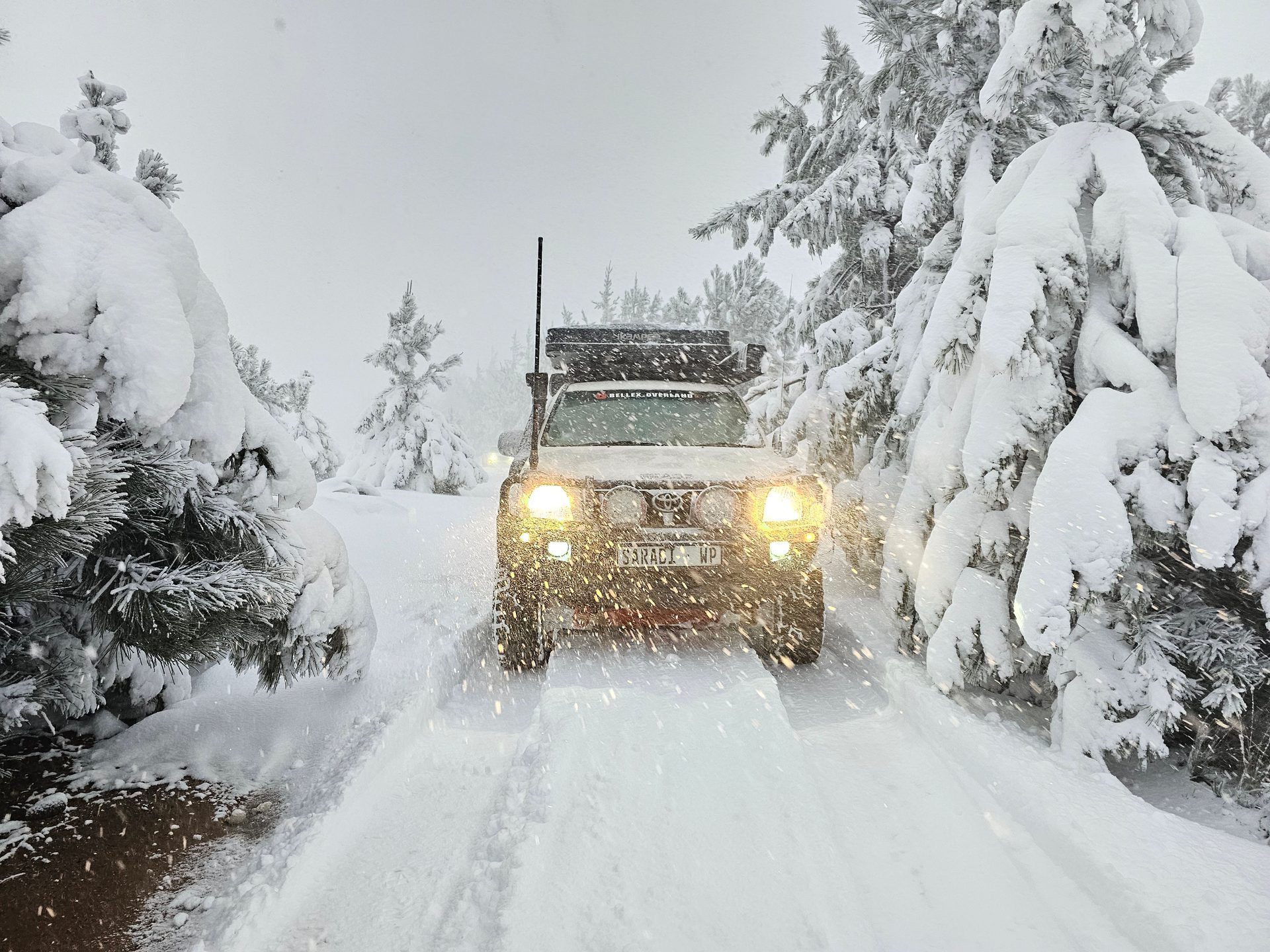 When the Mountain Closed — Matroosberg in a Full Snow Storm